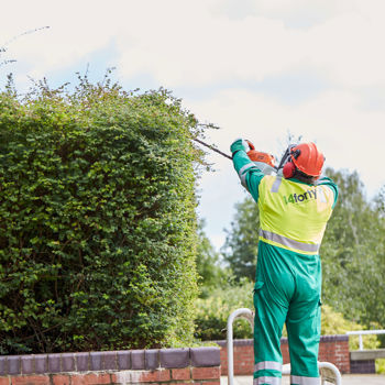 Eu14 Photoshoot Hedge Trimming 4