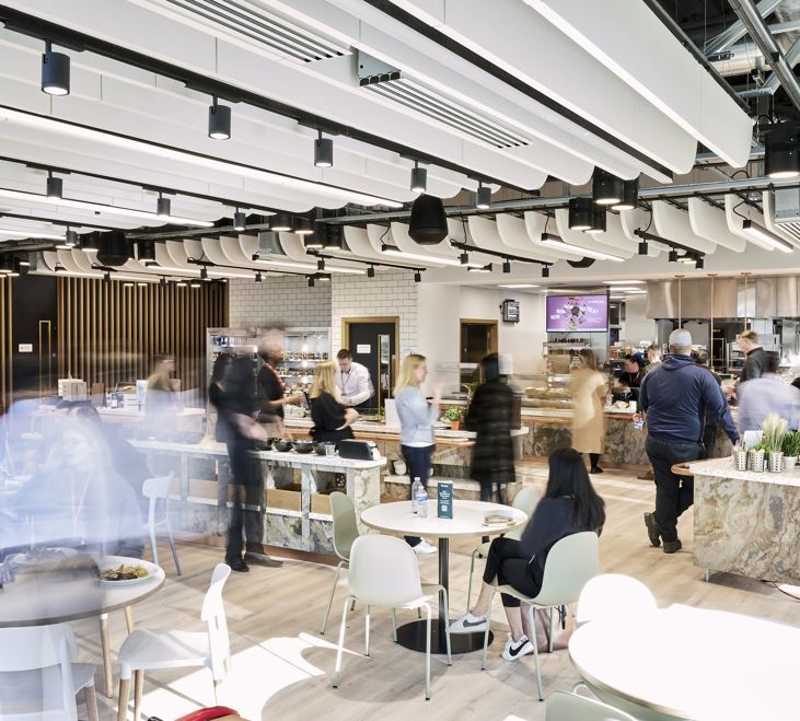 Frasershot Cadent260