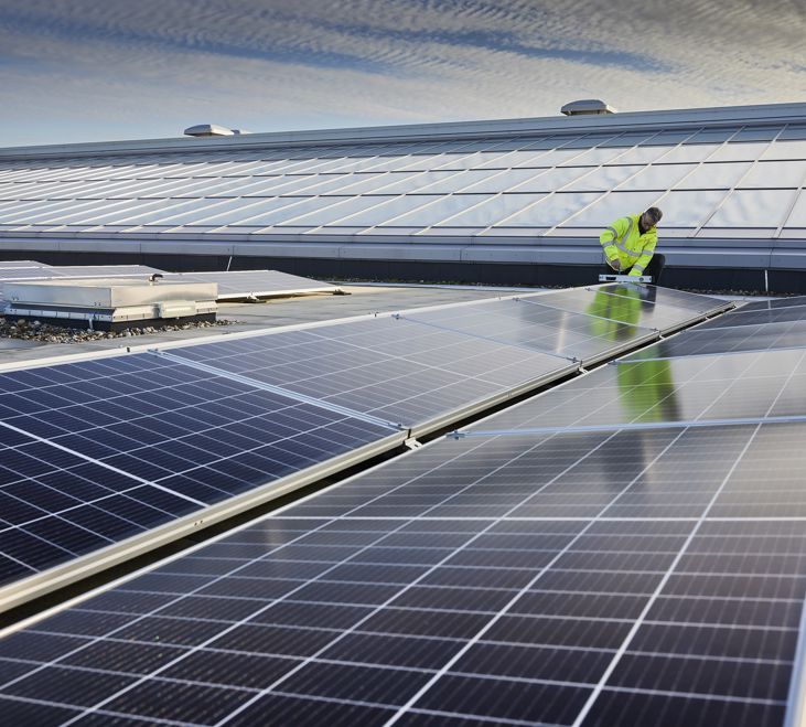 Frasershot Cadent351