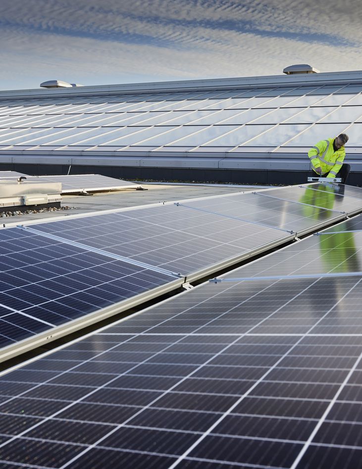 Frasershot Cadent351