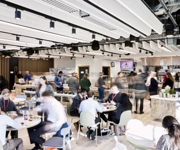 Frasershot Cadent262