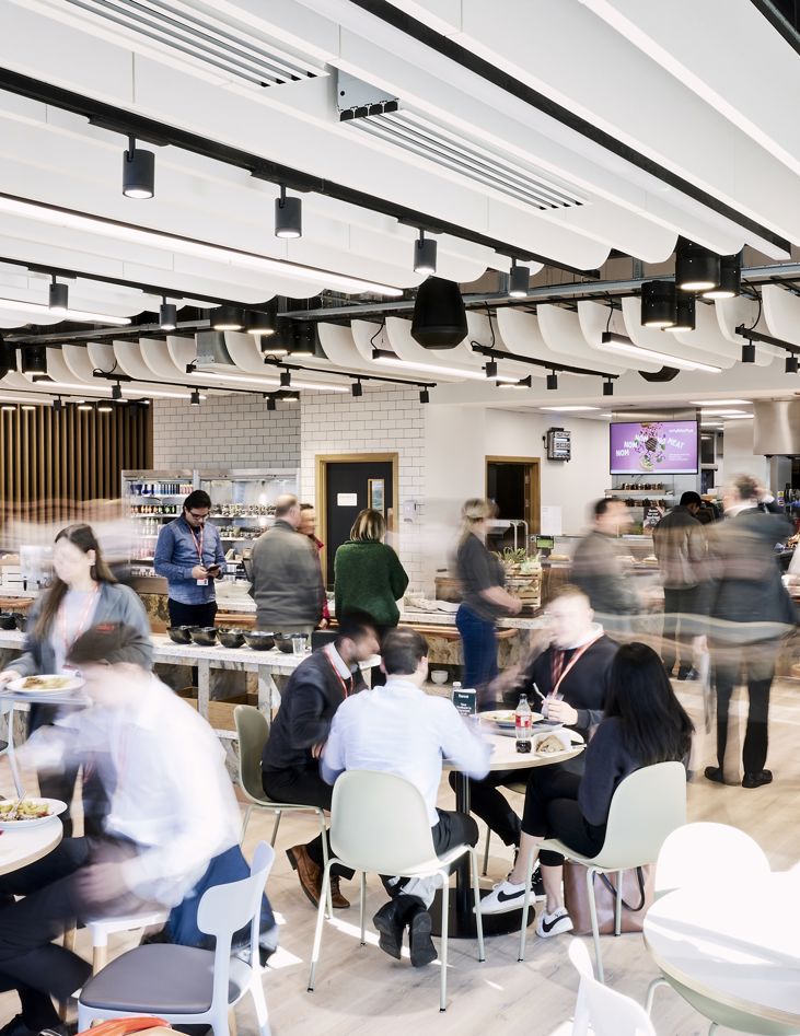 Frasershot Cadent262