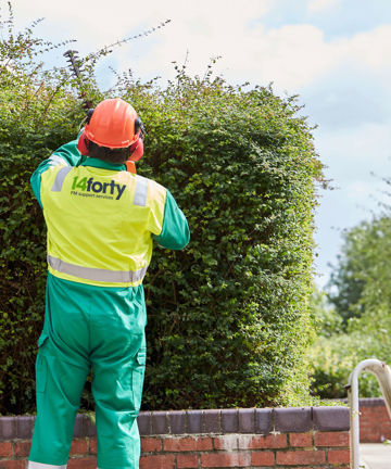 A member of 14forty's outdoor facilities managment support services team maintaining a hedge.